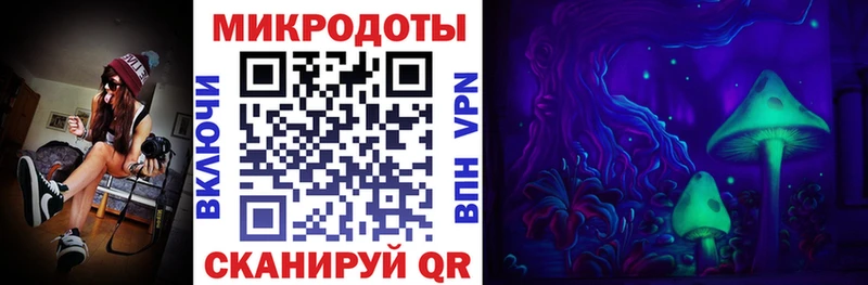 Галлюциногенные грибы Psilocybine cubensis  Купить где  Тында 